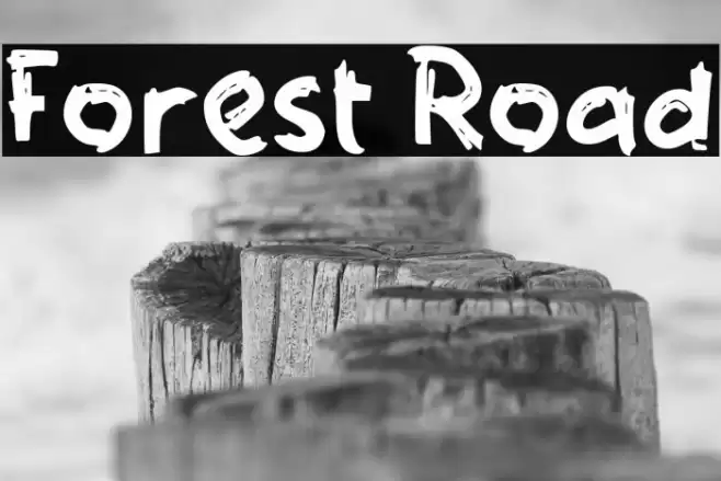 Forest Road Font examples