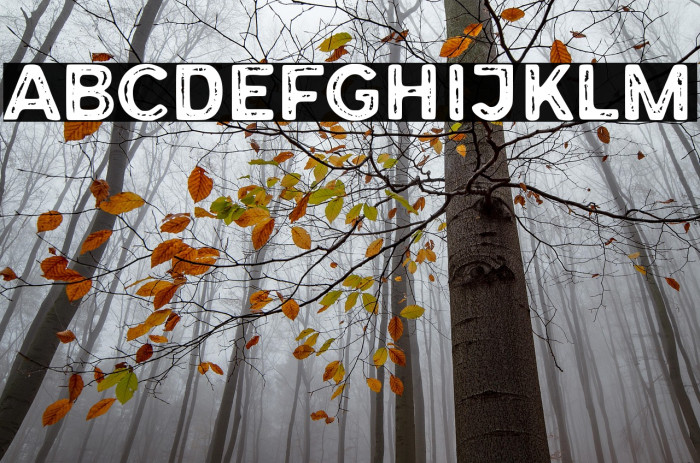 Forest Trophy Textured Example 3