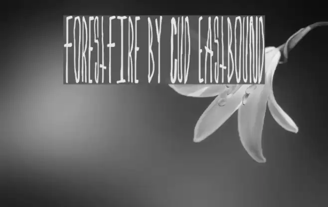ForestFire by Cud Eastbound Font examples
