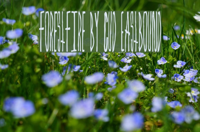 ForestFire by Cud Eastbound Example 2