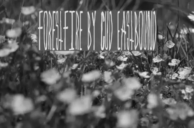 ForestFire by Cud Eastbound Font examples
