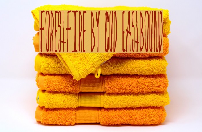 ForestFire by Cud Eastbound Example 3