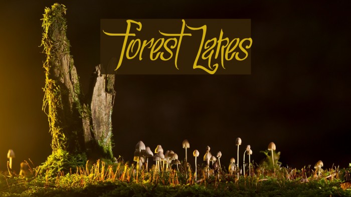 ForestLakes Fonte examples