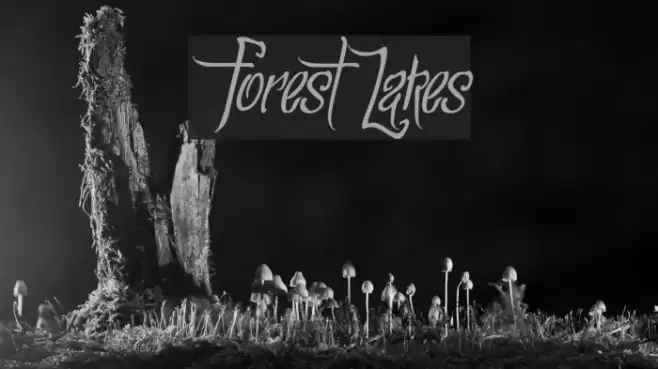 ForestLakes Font examples