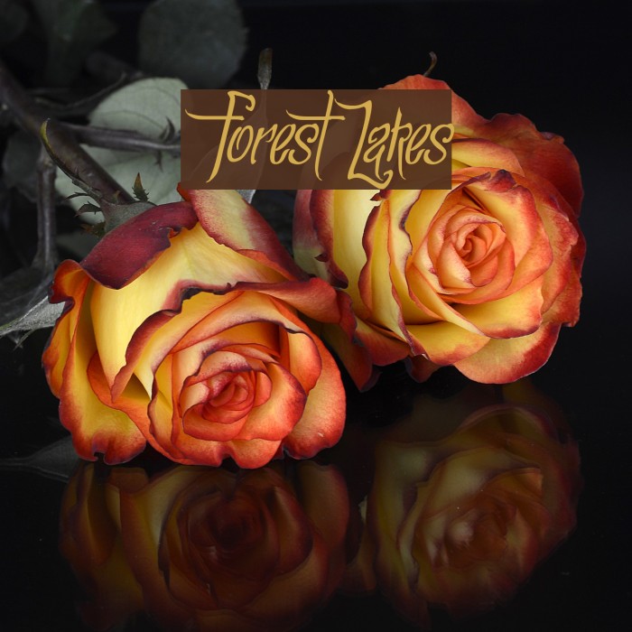 ForestLakes Fonte examples