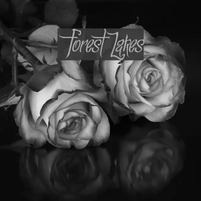 ForestLakes Font examples