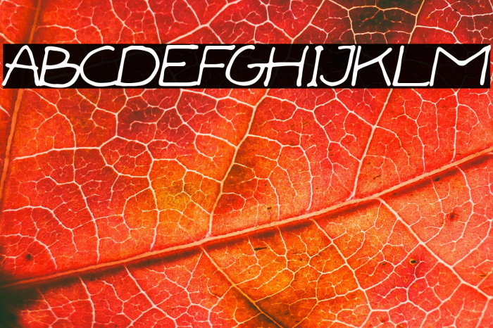 Forestia Handed Example 2