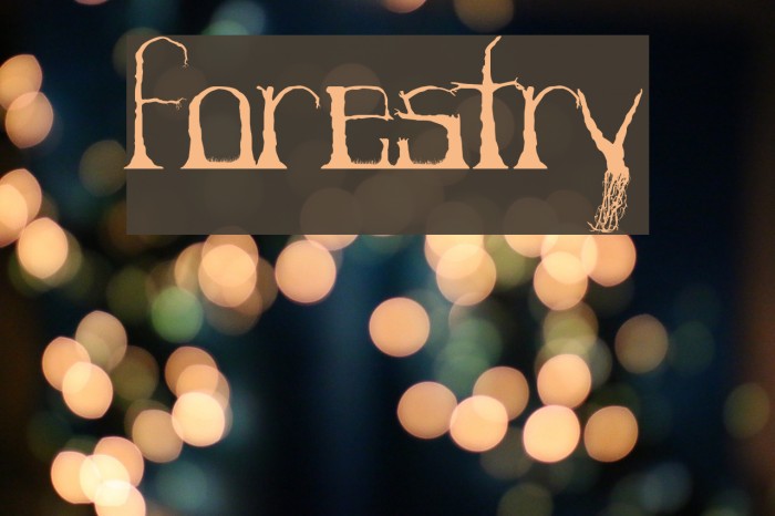 Forestry Font examples
