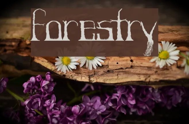 Forestry Example 3