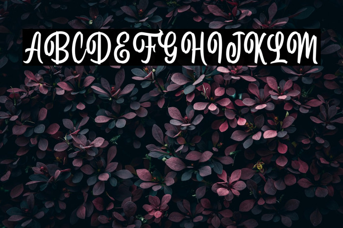 ForetellingDEMO Example 1