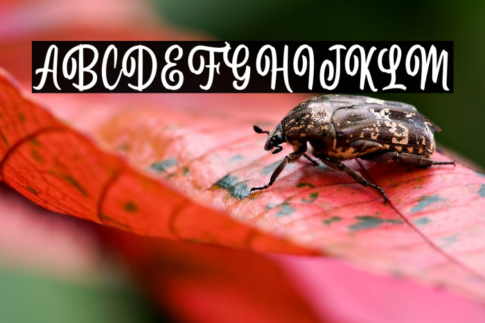 ForetellingDEMO Example 2