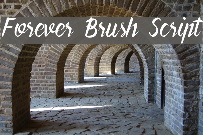 Forever Brush Script Font examples
