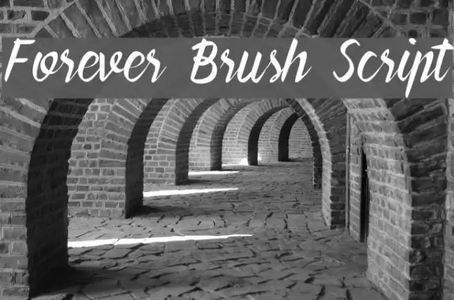 Forever Brush Script Polices examples