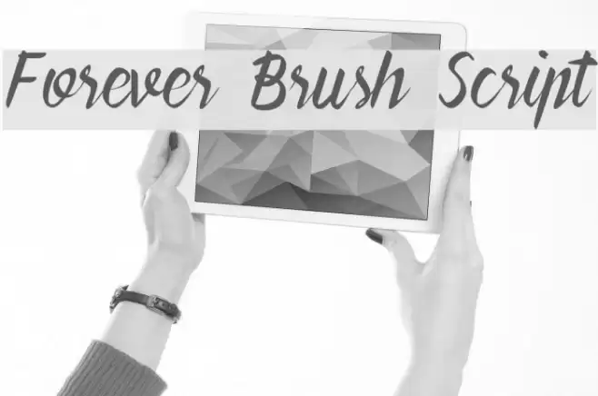 Forever Brush Script Polices examples