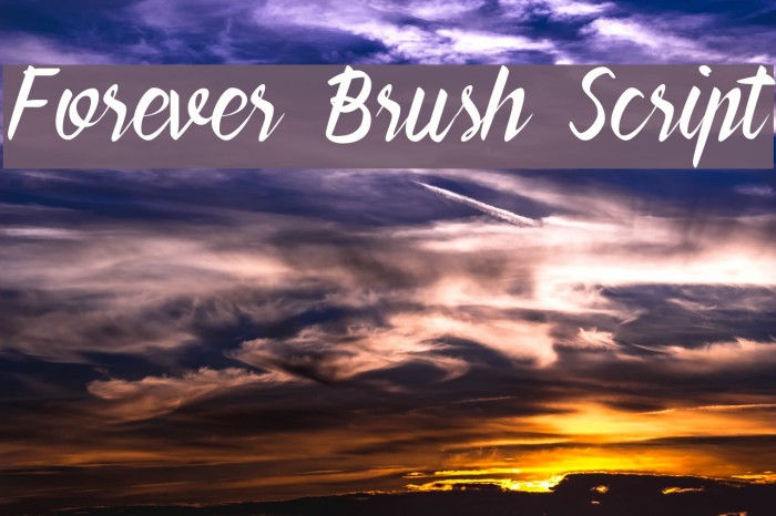Forever Brush Script Font examples