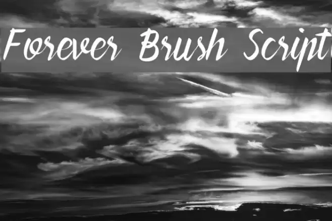 Forever Brush Script Polices examples