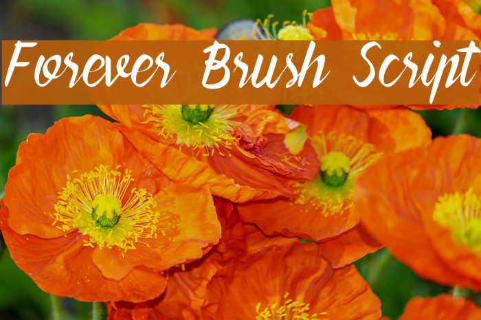 Forever Brush Script Font examples