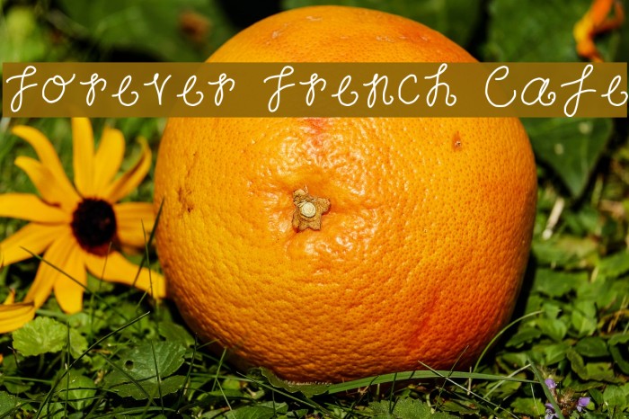 Forever French Cafe Caratteri examples
