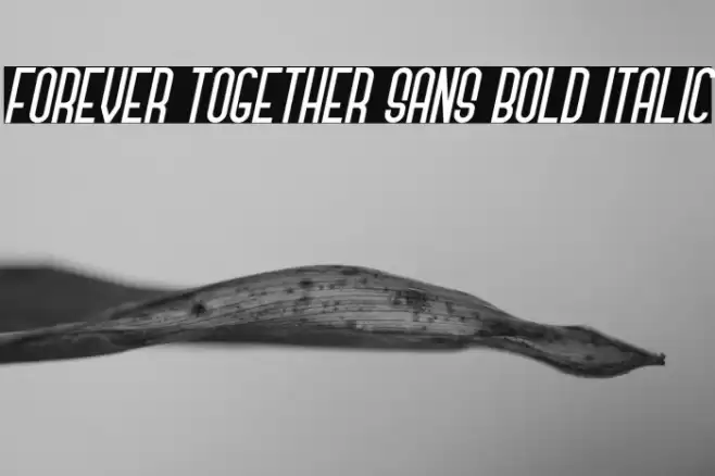 Forever Together Sans Bold Italic フォント examples