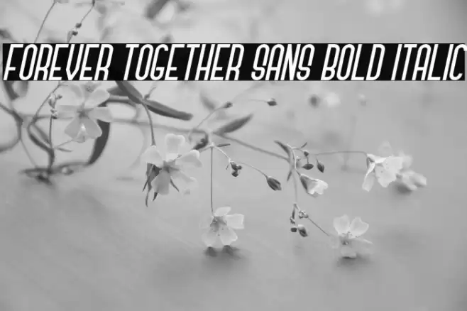 Forever Together Sans Bold Italic フォント examples