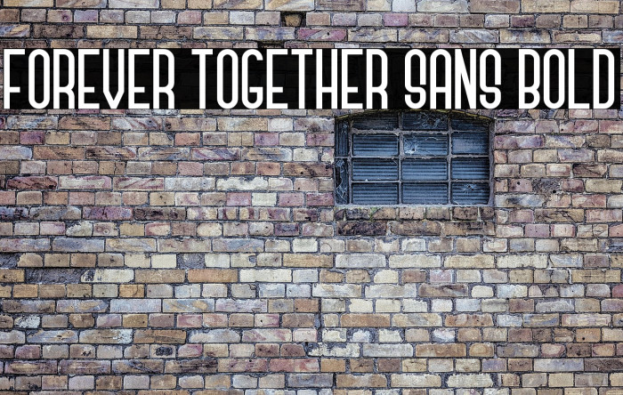 Forever Together Sans Bold Example 1