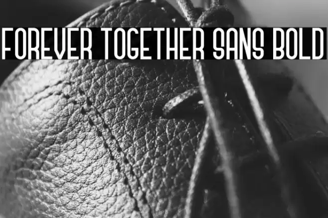 Forever Together Sans Bold Font examples