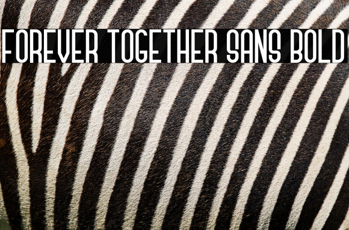 Forever Together Sans Bold Example 3