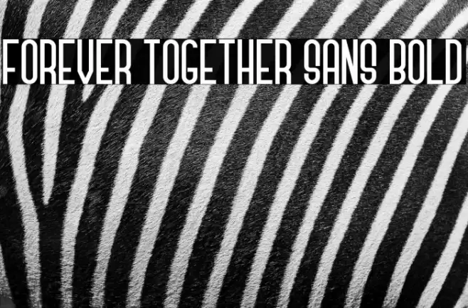 Forever Together Sans Bold Font examples