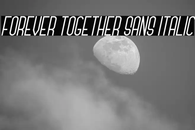 Forever Together Sans Italic フォント examples
