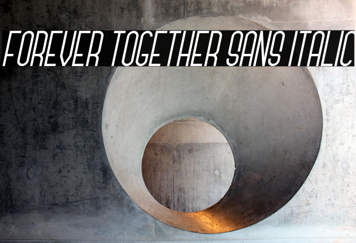 Forever Together Sans Italic Example 2
