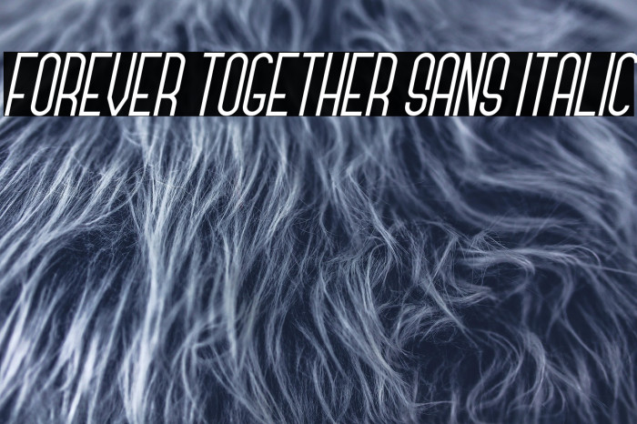 Forever Together Sans Italic Example 3