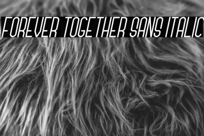 Forever Together Sans Italic フォント examples