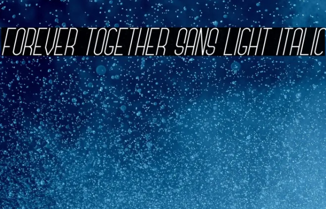 Forever Together Sans Light Italic Example 1