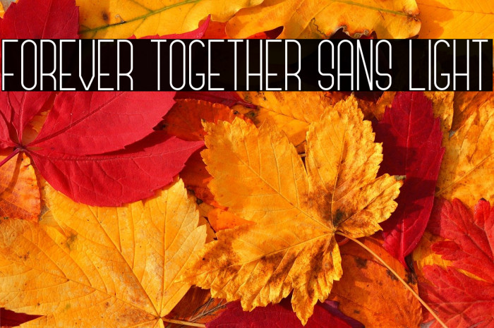 Forever Together Sans Light Example 3