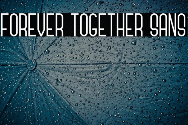 Forever Together Sans Example 2