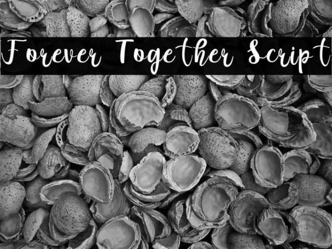 Forever Together Script Font examples