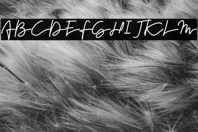 Forever Font examples