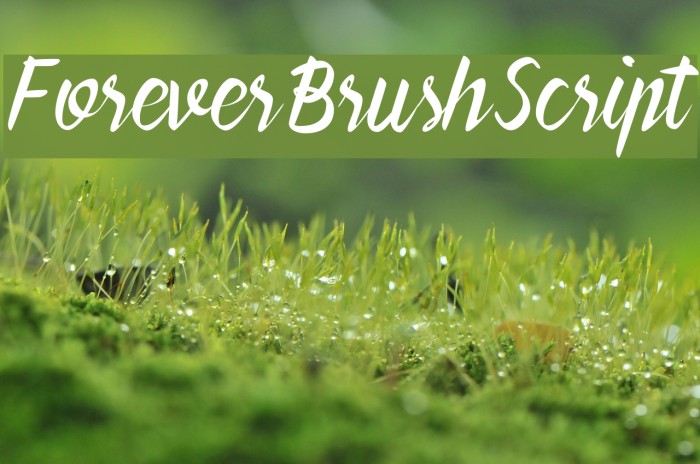 ForeverBrushScript Font examples
