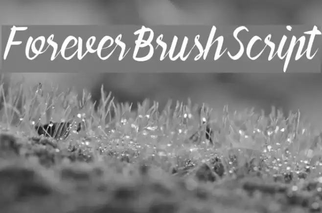 ForeverBrushScript Polices examples