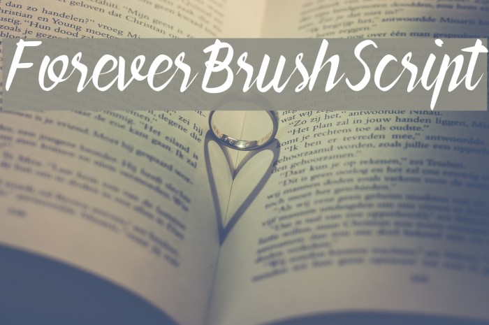 ForeverBrushScript Font examples