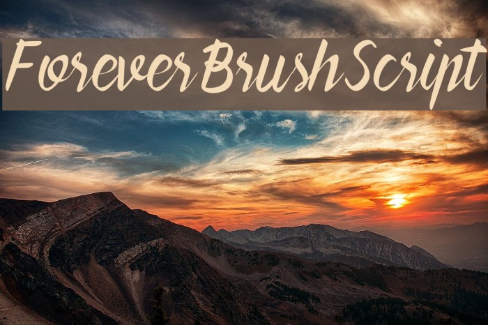 ForeverBrushScript Font examples