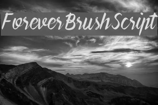 ForeverBrushScript Polices examples