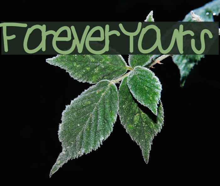 ForeverYours Font examples