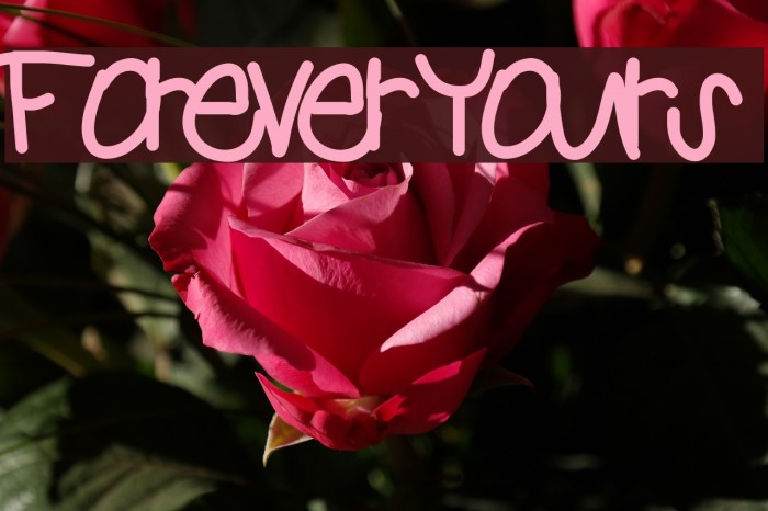 ForeverYours Font examples