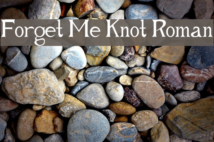 Forget Me Knot Roman Font examples