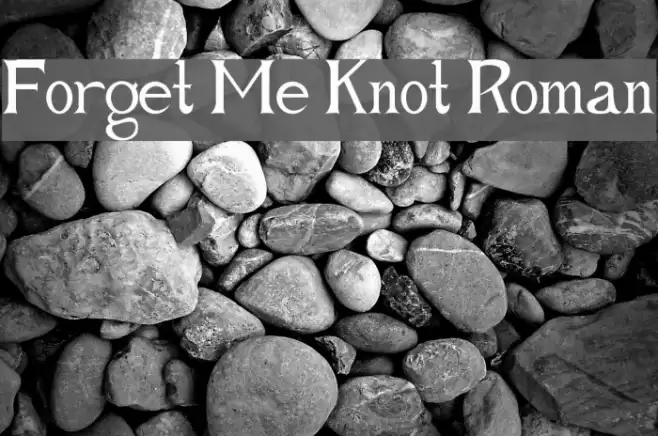 Forget Me Knot Roman Schriftart examples