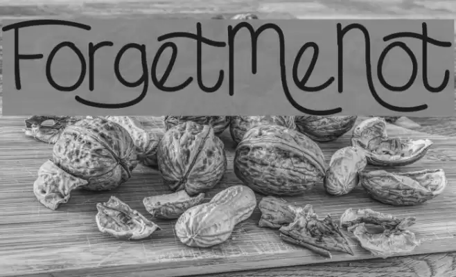 ForgetMeNot Font examples