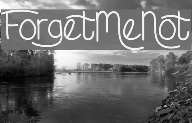 ForgetMeNot Font examples