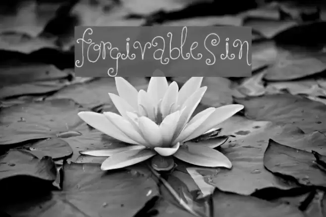 ForgivableSin Font examples