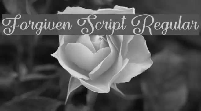 Forgiven Script Regular Font examples